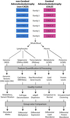 Multi-Omic Approach to Identify Phenotypic Modifiers Underlying Cerebral Demyelination in X-Linked Adrenoleukodystrophy